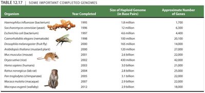 Table of important completed genomes