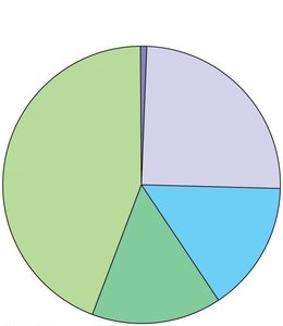 Pie chart of human genome composition