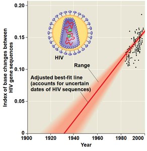 Molecular clock applied to HIV evolution