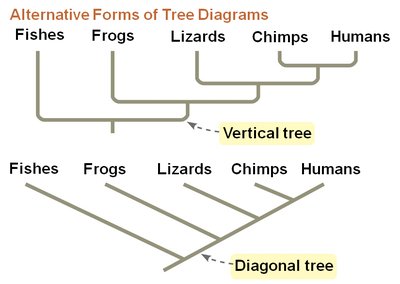 Alternative forms of tree diagrams