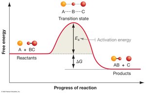 Activation energy and transition state diagram
