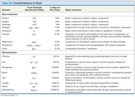 Table of essential elements in plants