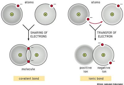 Covalent and ionic bond formation