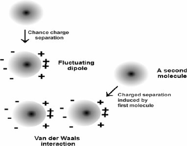 Van der Waals interactions: fluctuating dipoles