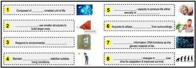 Eight characteristics of life