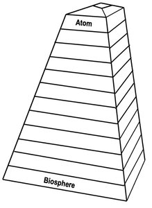 Blank pyramid for organizational hierarchy