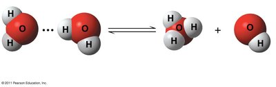 Formation of hydronium and hydroxide ions from water