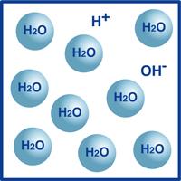 Distribution of H+, OH-, and H2O molecules in water