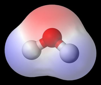 Water molecule showing charge distribution