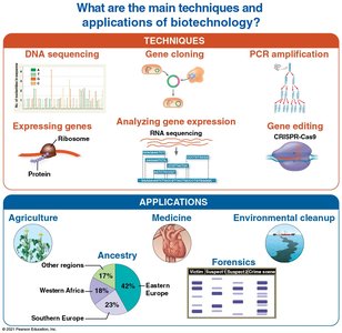 General Biology Study Guide: DNA Tools & Biotechnology | Notes
