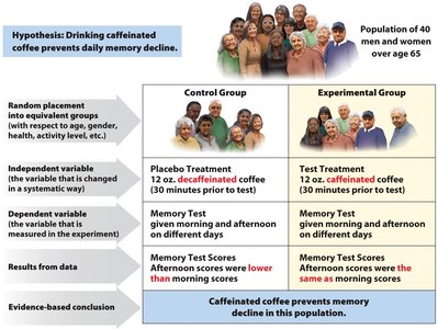 The scientific process: experimentation and drawing conclusions