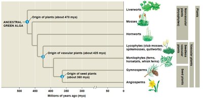 General Biology Study Guide: Evolution & Biodiversity | Notes