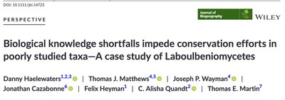 Taxonomic uncertainty and the Linnean shortfall