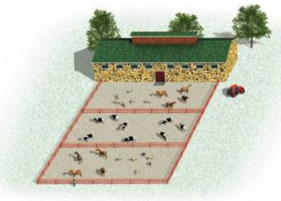 Livestock pen optimization (parallel to wall)