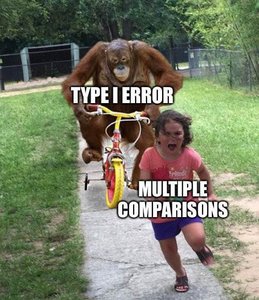 Type I error chasing multiple comparisons meme