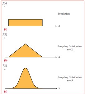 Uniform population and sampling distributions for different sample sizes