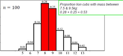 Relative frequency histogram of lion cub birth weights