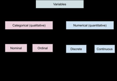 Types of samples