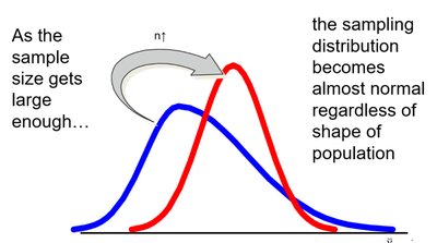 Central Limit Theorem: sampling distribution becomes normal as sample size increases