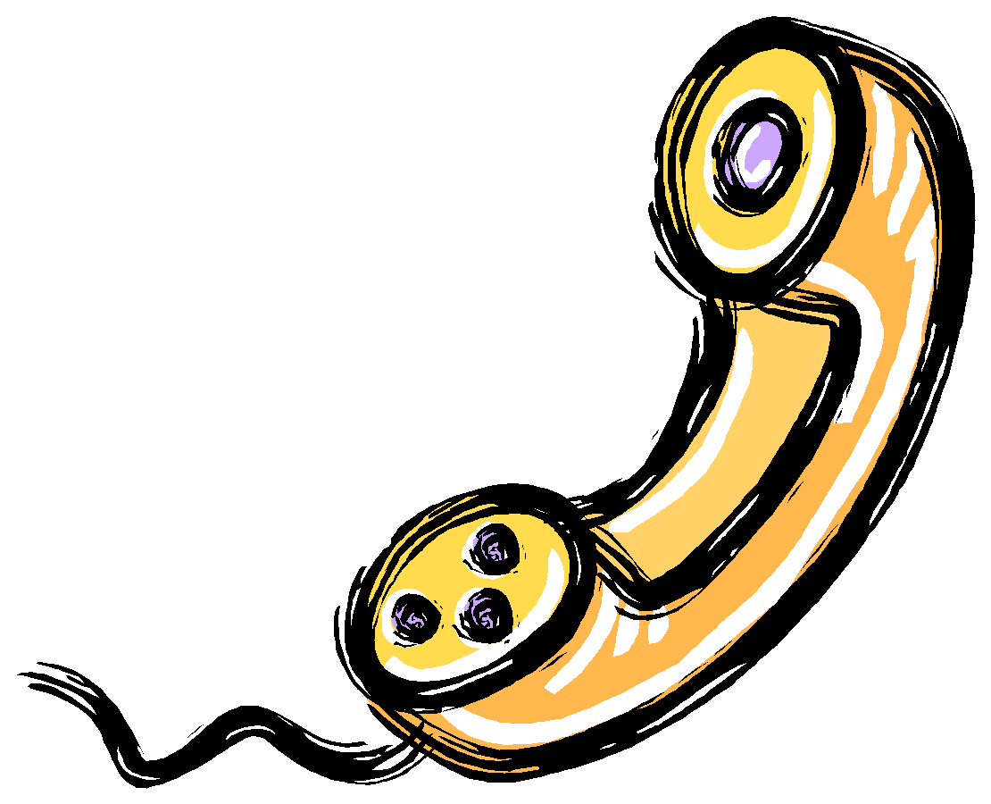 Telephone representing direct observation or interview