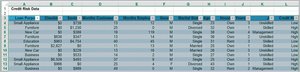 Credit risk data in Excel table format (highlighted)