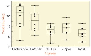 Boxplot of wheat yields by variety