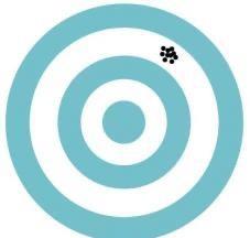 Target with high bias, low variability