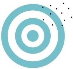 Target with high bias, high variability