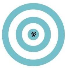 Target with low bias, low variability