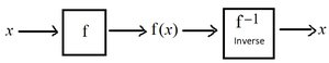 Graphs of exponential functions with different bases