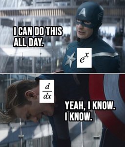Derivative of exponential function meme