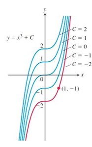 Family of antiderivatives y = x^3 + C