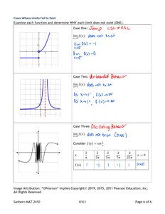Graphs showing jump, unbounded, and oscillating behavior