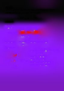 Ellipse with vertices, foci, axes