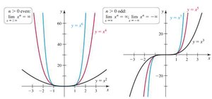 Graphs of power functions for even and odd n