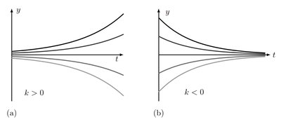 Exponential growth and decay graphs