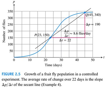 Fruit fly population growth