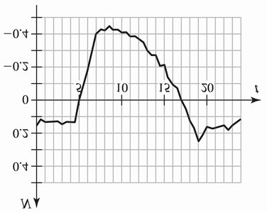 Net ecosystem carbon exchange over a day
