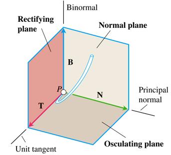 Planes and vectors associated with the TNB frame: rectifying, normal, and osculating planes.