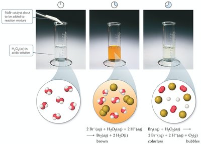 Homogeneous catalysis example