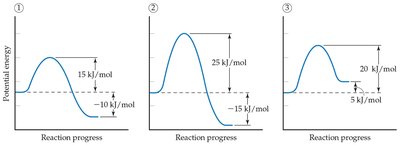 Energy profiles for three reactions