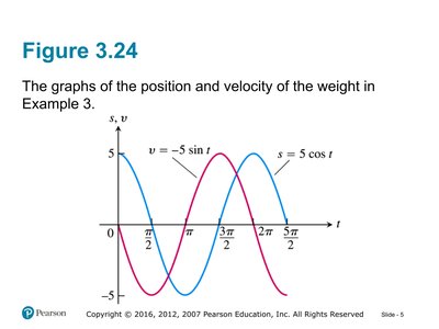 Graphs of position and velocity for a weight in periodic motion