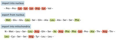 Some typical signal sequences for protein targeting