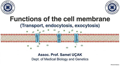 Functions of the cell membrane: Transport, endocytosis, exocytosis
