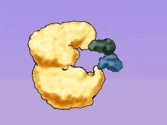 Lock-and-key and induced-fit models