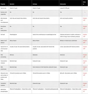 Comparison table of Bacteria, Archaea, and Eukaryotes