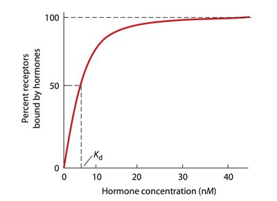 Receptor-ligand binding curve showing Kd