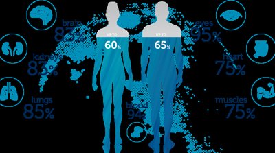 Water content in human body and organs