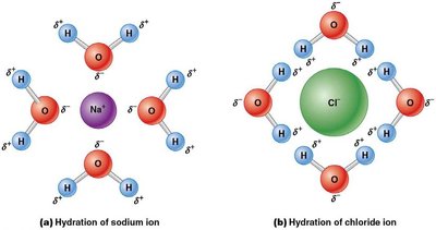 Hydration of sodium ion
