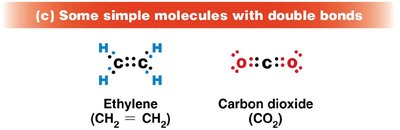 Simple molecules with double bonds